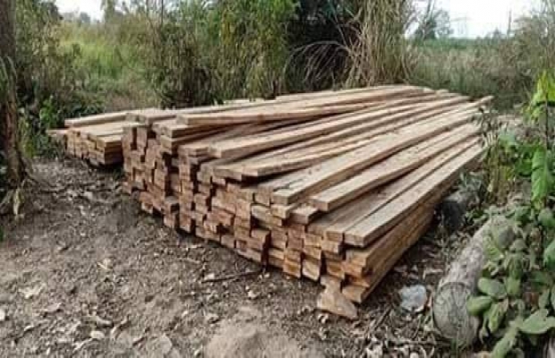 មេឈ្មួញដឹកជញ្ជូនឈេីខុសច្បាប់តាមគោយន្តកន្រ្តៃនៅតែមានសកម្មភាពជាហូរហែរសមត្ថកិច្ចជំនាញអសមត្ថភាពក្នុងការបង្រ្កាប.....