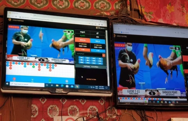 ទីតាំងល្បែងស៊ីសងជល់មាន់ តាមទូរទស្សន៍អនឡាញ នៅតាមហាងកាហ្វេ ដើមស្ដៅ មួយកន្លែងស្ថិតក្នុងស្រុកត្រពាំងប្រាសាទ បើកដំណើរលេងយ៉ាងគគ្រឹកគគ្រេងសមត្ថកិច្ចមូលដ្ឋានមិនបង្រ្កាបទប់ស្កាត់.....