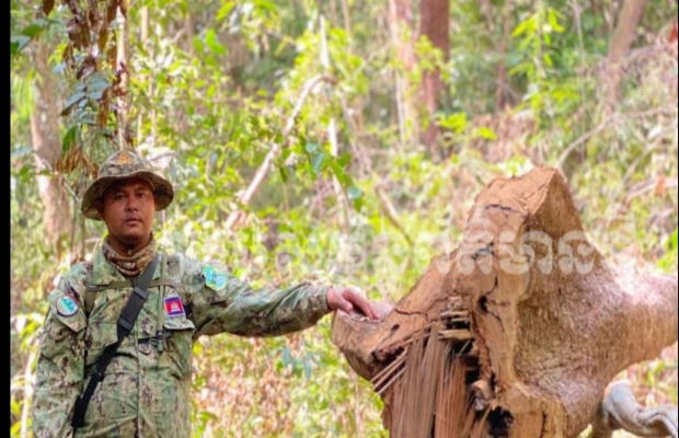 លោក ឡាយ សុធា បានបំពានច្បាប់ និងវិធានការក្រសួងបរិស្ថាន ដោះលែងជនសង្ស័យចូលព្រៃកាប់ឈើក្នុងតំបន់ការពារធម្មជាតិក្នុង